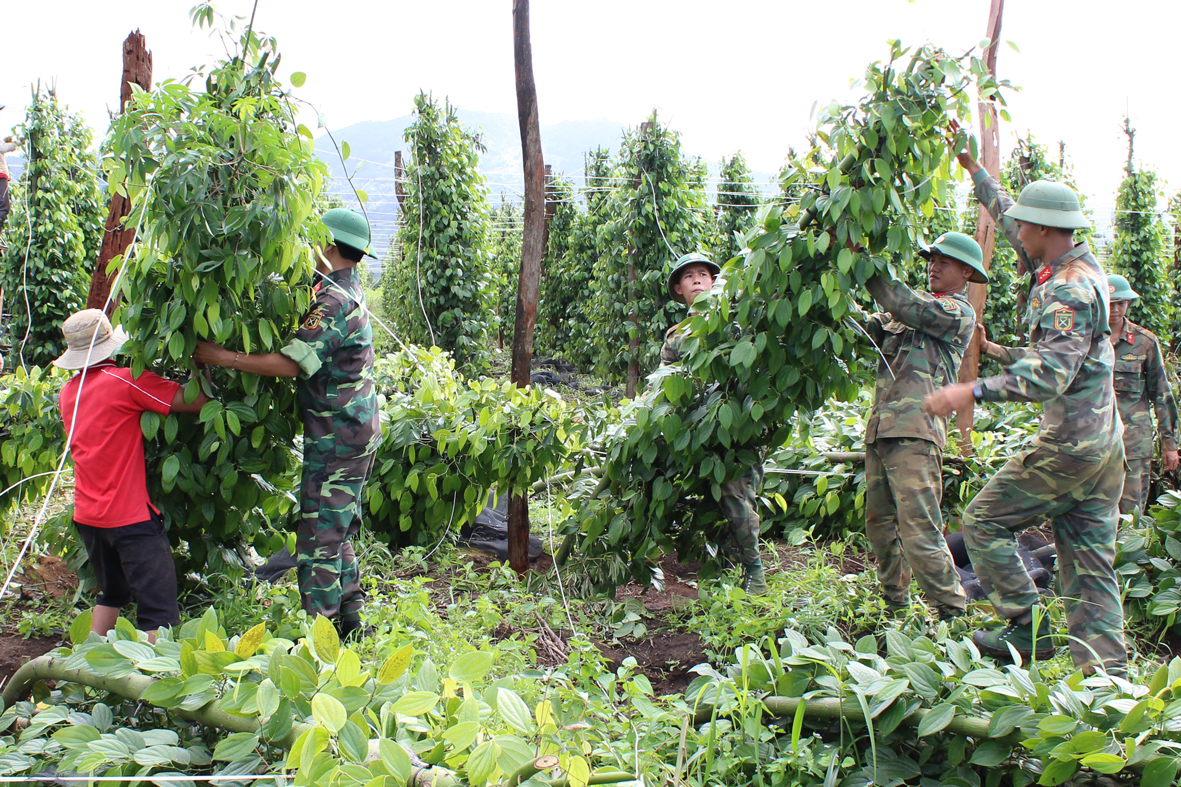 Quân đoàn 3 giúp nhân dân huyện Mang Yang khắc phục cơn bão số 5